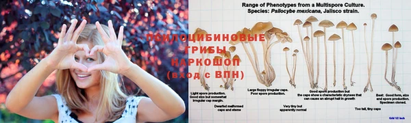 трава Тихвин