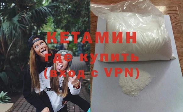 прущие грибы Тутаев