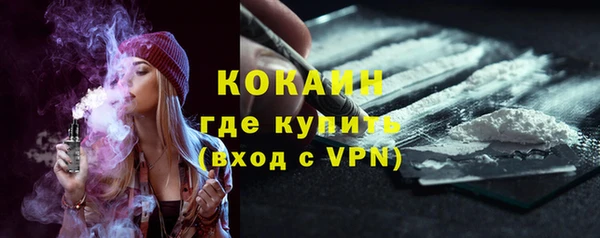 амф Кропоткин