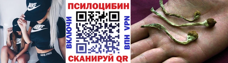 Псилоцибиновые грибы MAGIC MUSHROOMS  купить наркоту  Нефтекамск 