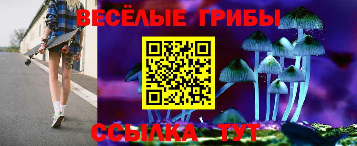 Нефтекамск  Псилоцибиновые грибы Psilocybine cubensis  Вход с VPN 